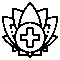 medicine e1748416916698